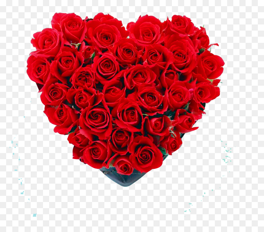 Caja Corazón Con Rosas - Red Rose, HD Png Download - rosas png
