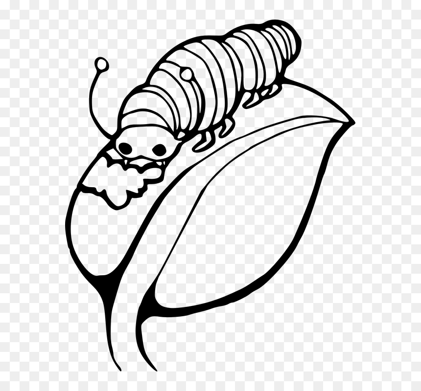 Caterpillar On A Leaf, HD Png Download - caterpillar png