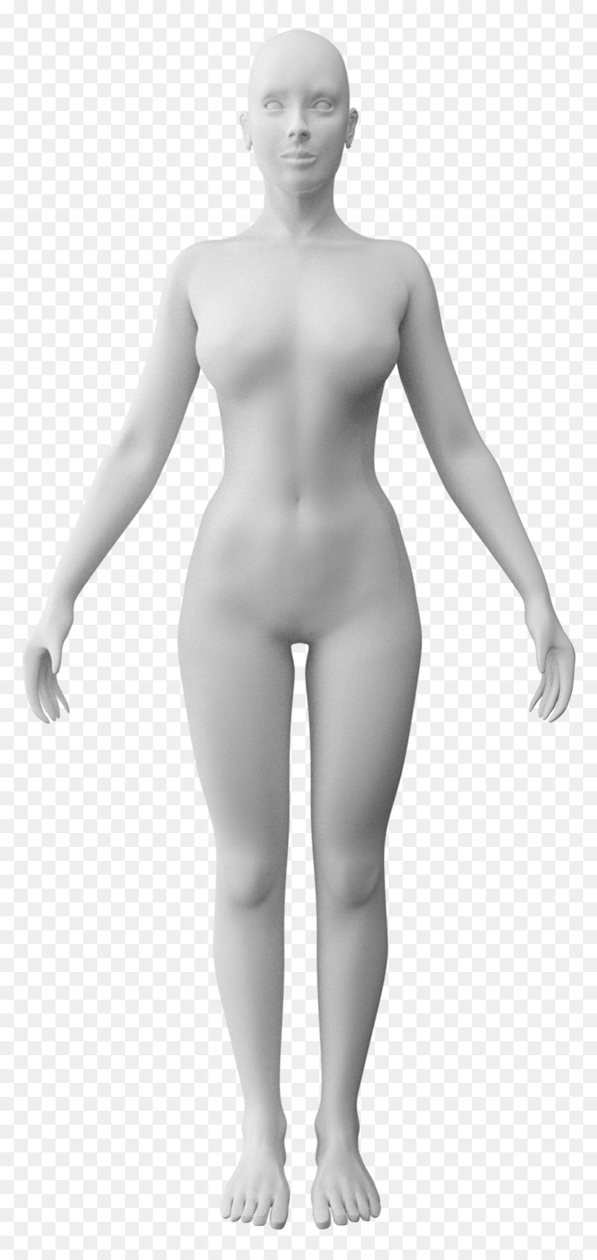 201802 Human Female Anim - Standing, HD Png Download - woman standing png