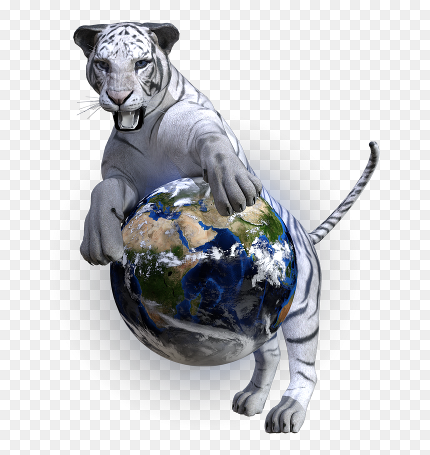White Tiger, HD Png Download - white tiger png