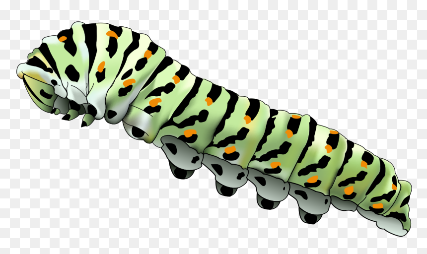 Svg Caterpillar, HD Png Download - caterpillar png