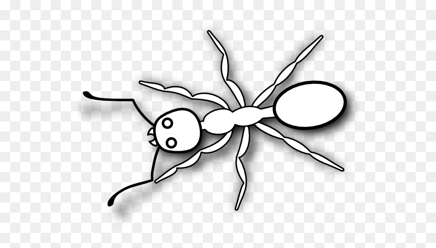 Thumb Image - Printable Ant Clipart Black And White, HD Png Download - ant png
