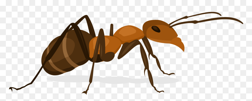 Ant Insect X-faktor - Ant Vector Image Png, Transparent Png - ant png
