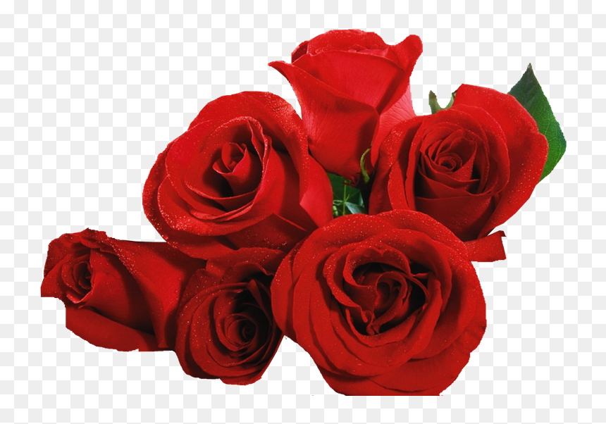 Thumb Image, HD Png Download - rosas png