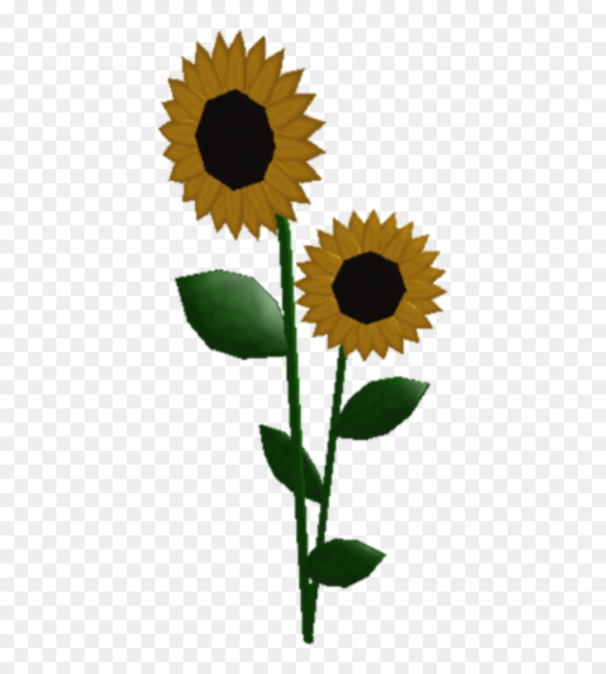 Deed Of Change Of Name Stamp, HD Png Download - sunflowers png