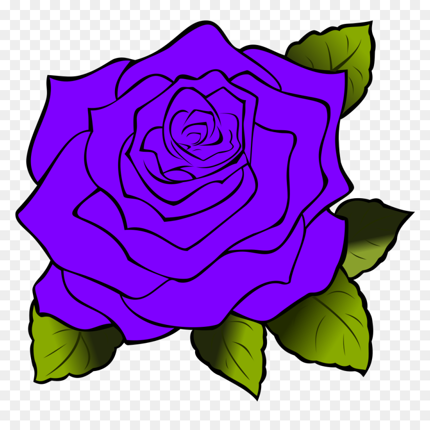 Red Rose Drawing, HD Png Download - purple rose png