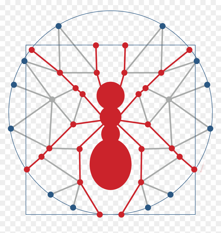 Circle, HD Png Download - ant png