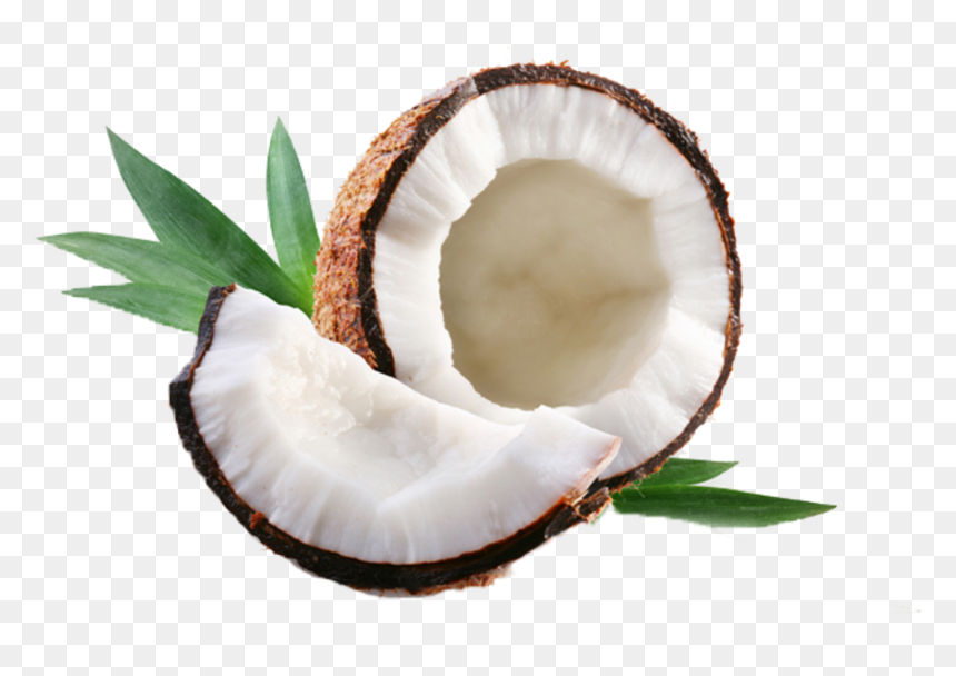 Hidratação Com Leite De Côco , Png Download - Coco Png, Transparent Png - coco png