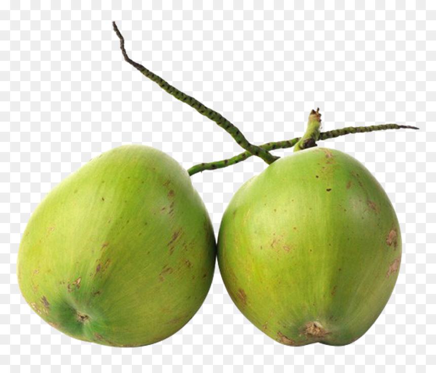 Agua De Coco Png , Png Download - Agua Coco Png, Transparent Png - coco png