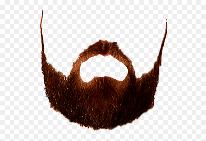 Saving Hair Png, Transparent Png - a+ png
