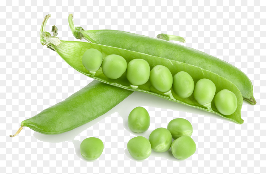 Green Beans Png - Green Bean Png, Transparent Png - beans png