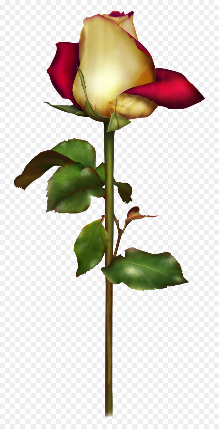 Blog, HD Png Download - rosas png