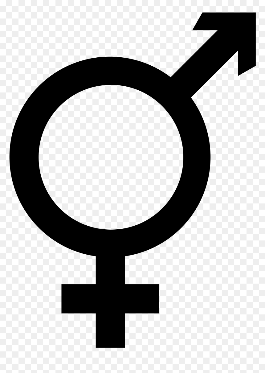 Thumb Image - Male Female Combined Symbol, HD Png Download - female symbol png