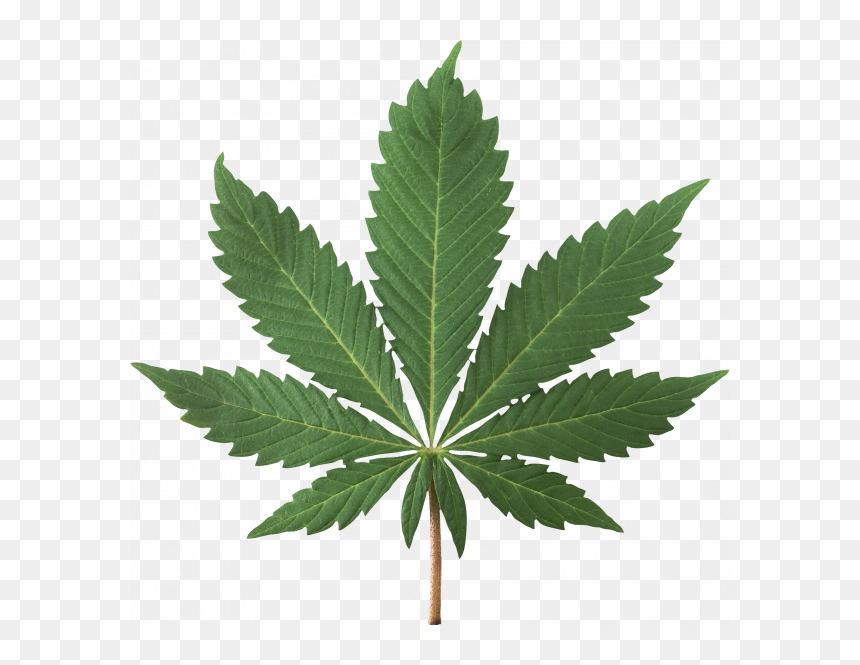 Transparent Weed Leaf Png, Png Download - bag of weed png