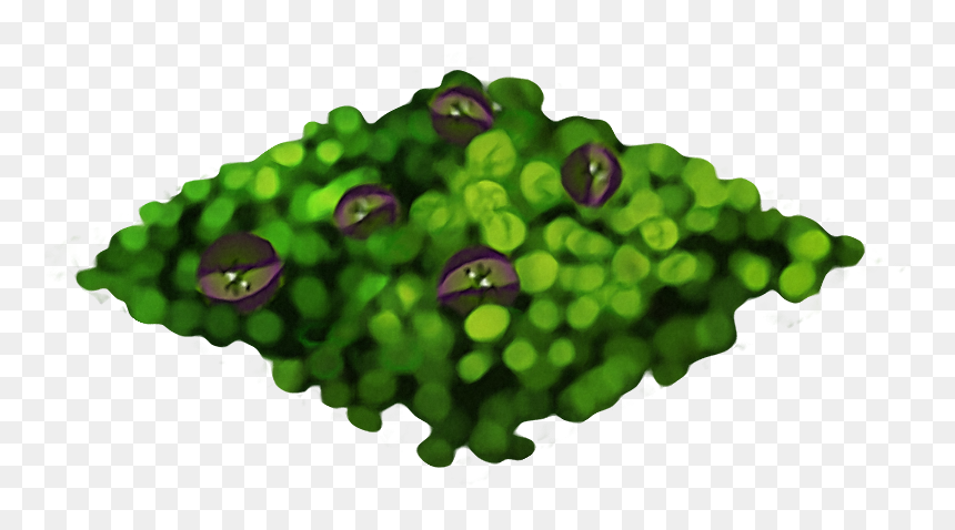 My Singing Monsters Wiki - My Singing Monsters Path, HD Png Download - path png