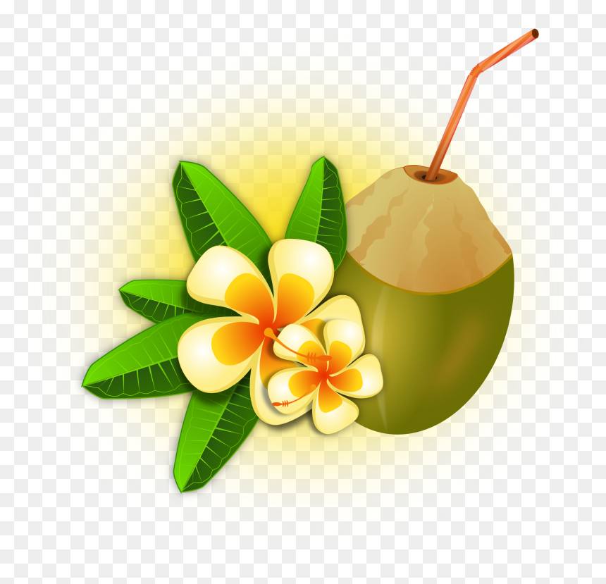 Hawaii Clipart Coconut Cocktail - Palm Flower & Coconut Clipart, HD Png Download - coco png