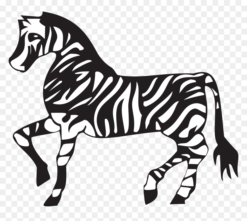 Run Clipart Cartoon - Free Black And White Clipart Zebra, HD Png Download - zebra png
