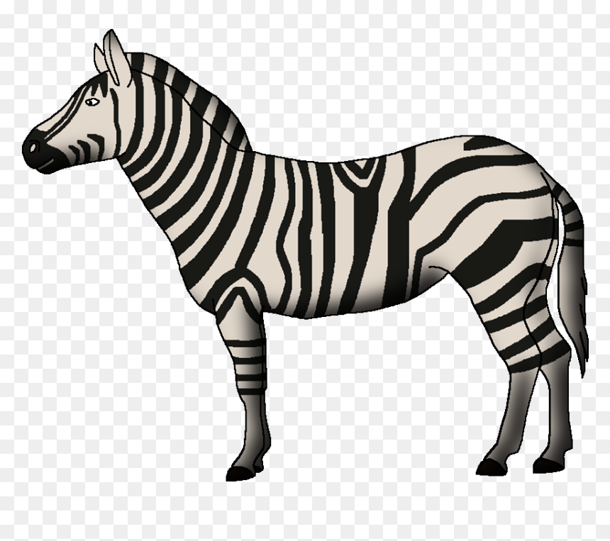 Wildlife Animal Pedia Wiki - Zebra, HD Png Download - zebra png