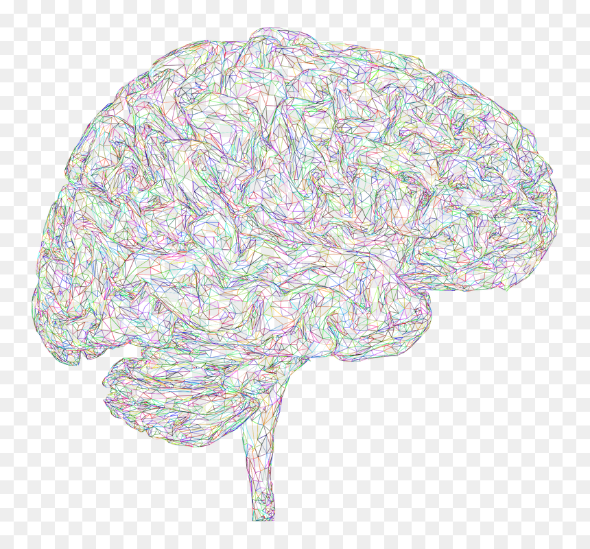 Vector Graphics, HD Png Download - mind png