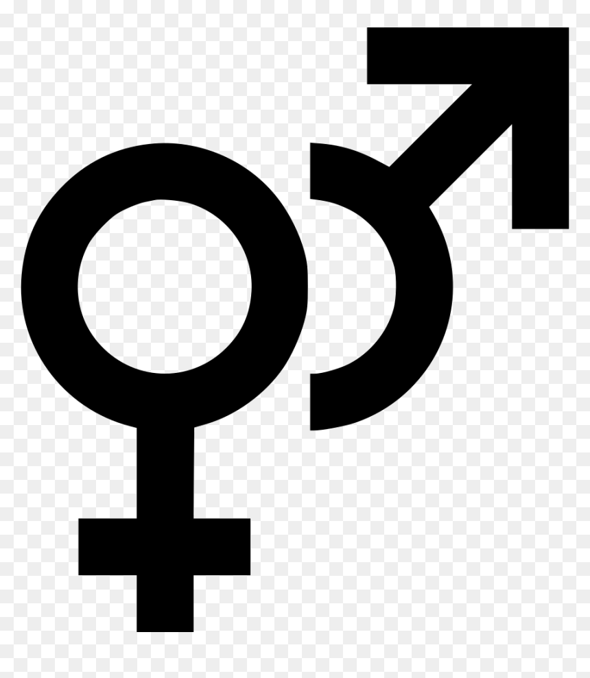 Gender Female Male Comments - Transparent Gender Icon Png, Png Download - female symbol png