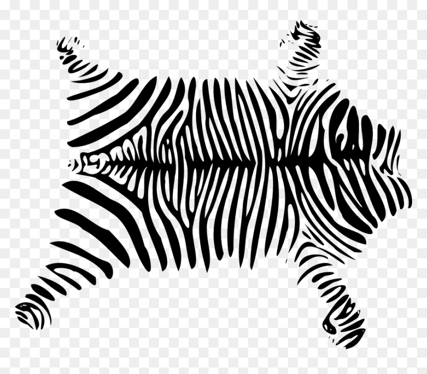Free Zebra Clipart 17, - Animal Skin Clipart, HD Png Download - zebra png
