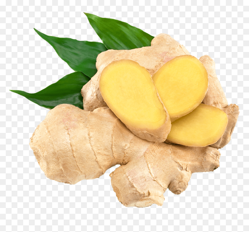 Ginger Png Clipart - Transparent Ginger Png, Png Download - ginger png