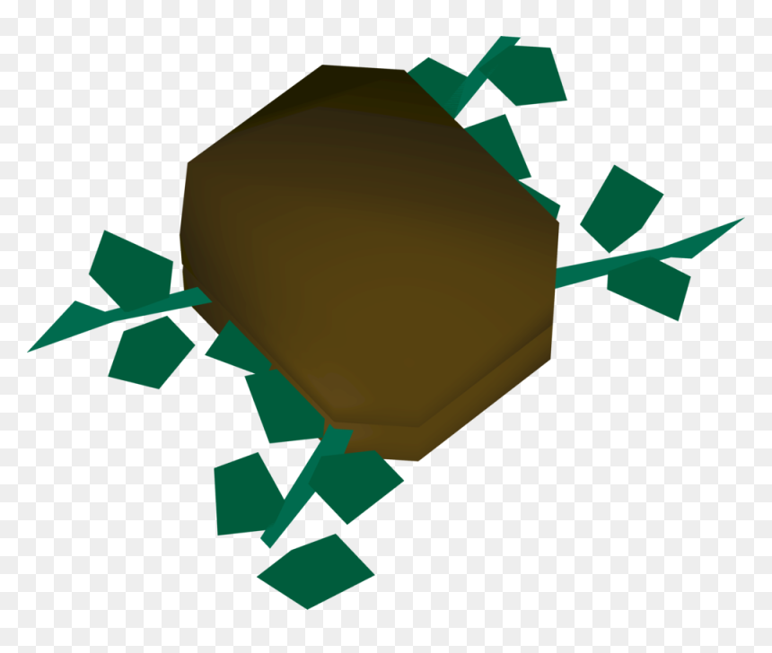 Graphic Design, HD Png Download - seaweed png