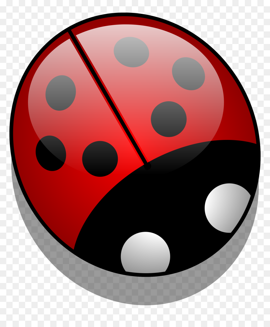 Download Cartoon Ladybug Png - Black And White Ladybird, Transparent Png - ladybug png