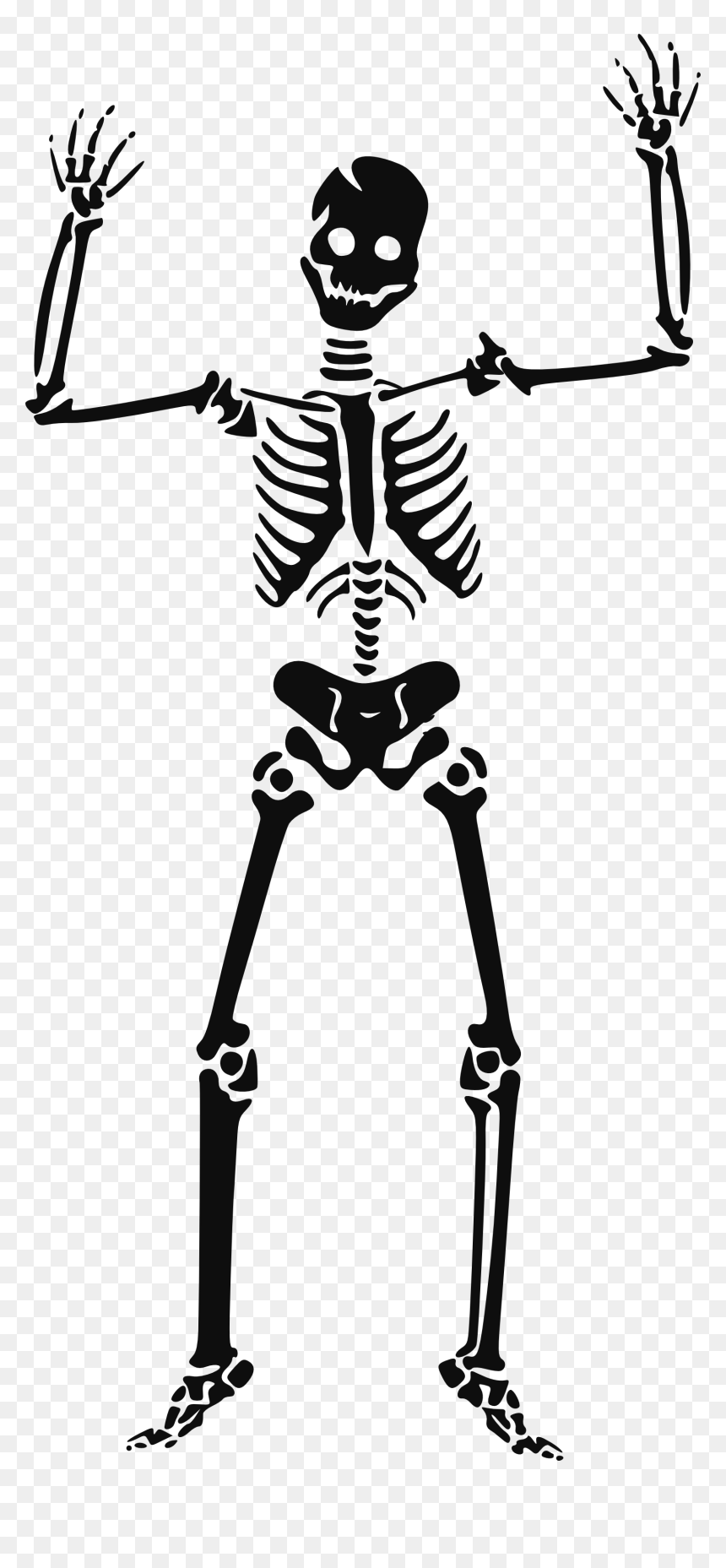 Halloween Skeleton Clipart, HD Png Download - skulls png
