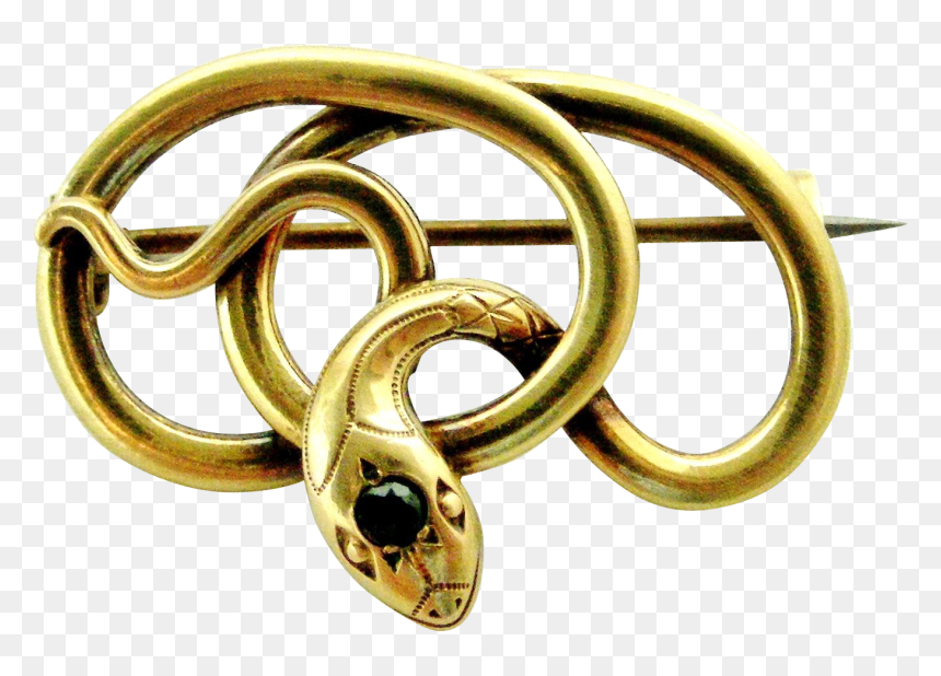 Oria No Maker Snake Franch, HD Png Download - gold chain dollar sign png