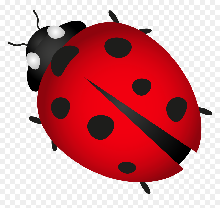 Beetle Ladybird Plagg Clip Art - Whitechapel Station, HD Png Download - ladybug png