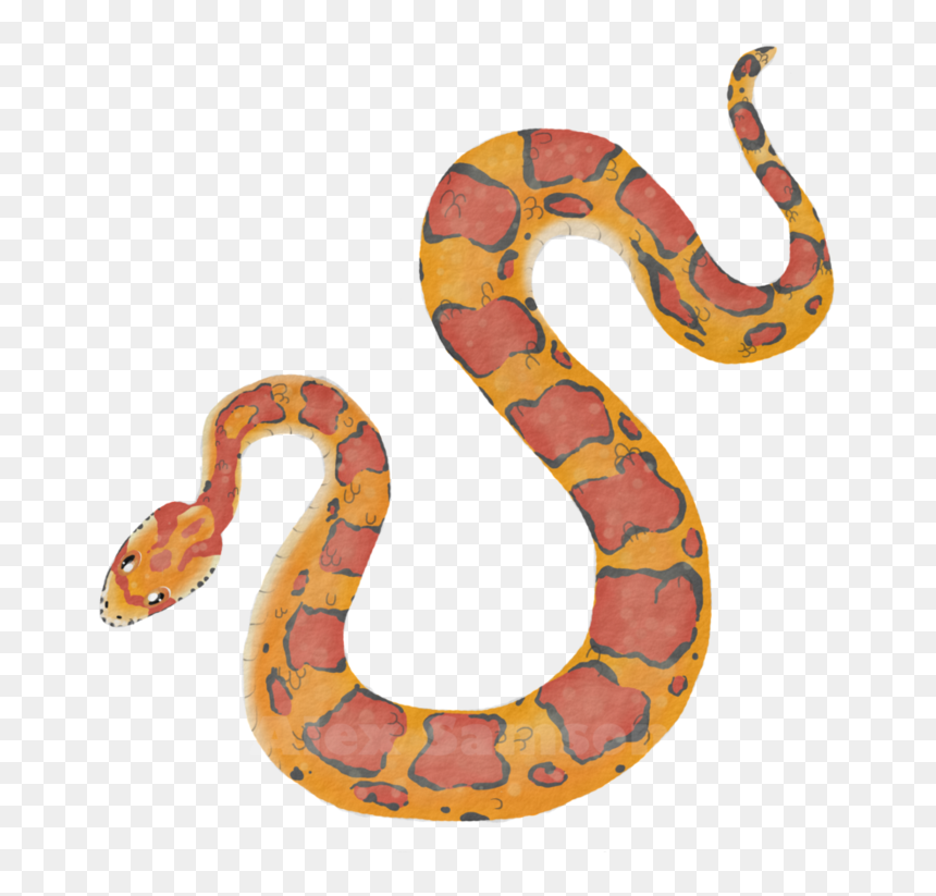 Corn Snake Png - Corn Snake Clipart, Transparent Png - gucci snake png