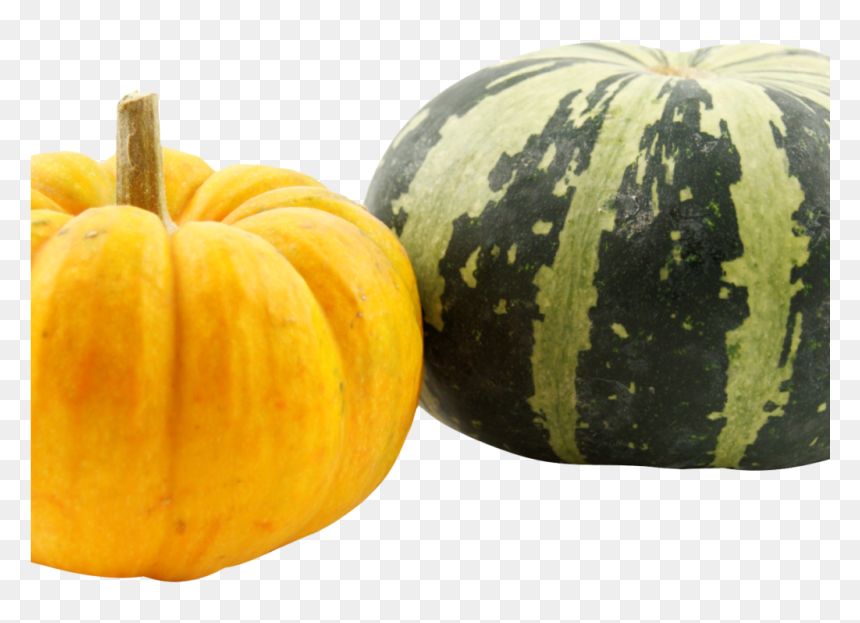 Pumpkins Png Image - Squash, Transparent Png - pumpkins png