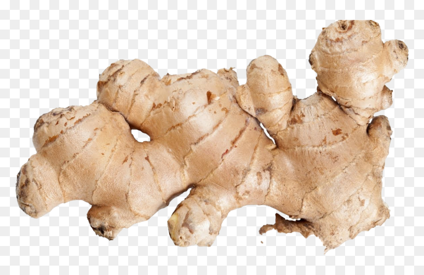 Ginger Png, Transparent Png - ginger png