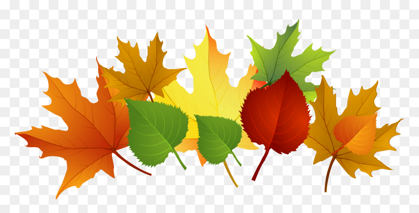Fall Leaves Clip Art Free - Leaves Clipart Falling Autumn, HD Png Download - fall leaves border png