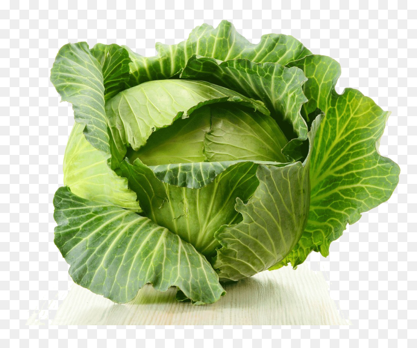 Cabbage Png Image - Kapusta Gif, Transparent Png - cabbage png