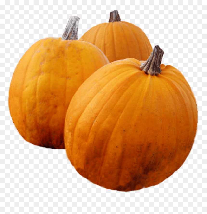 Thanksgiving Pumpkin Png , Png Download - Pumpkin, Transparent Png - pumpkins png