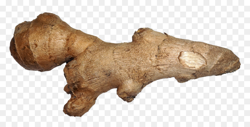 File - Ginger - Ginger Png, Transparent Png - ginger png