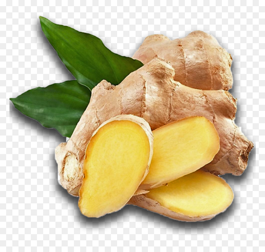Ginger , Png Download - Zingiber Officinale, Transparent Png - ginger png