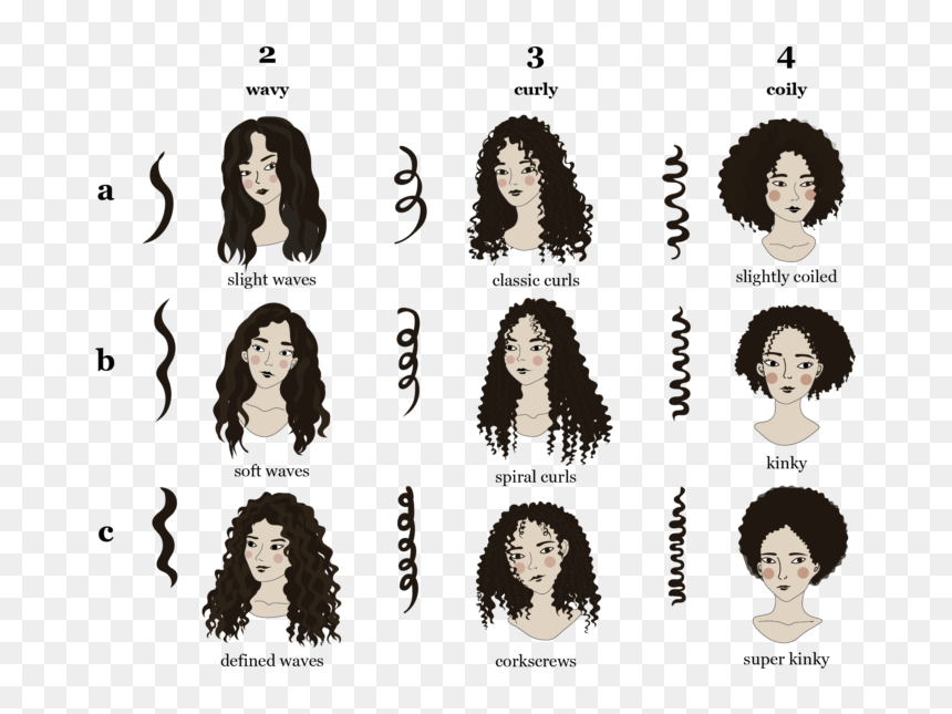 Curl Pattern Types, HD Png Download - hair texture png