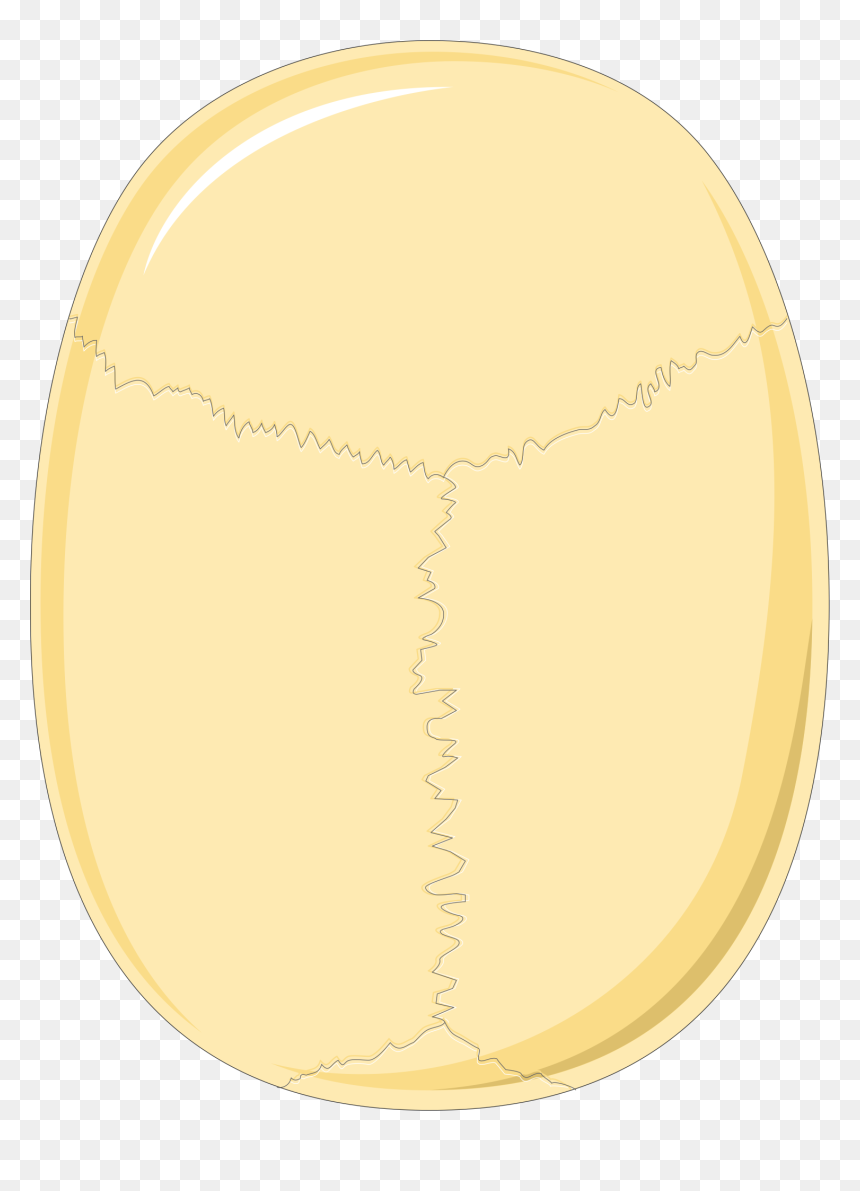 Skulls 3 Smart Servier - Circle, HD Png Download - skulls png