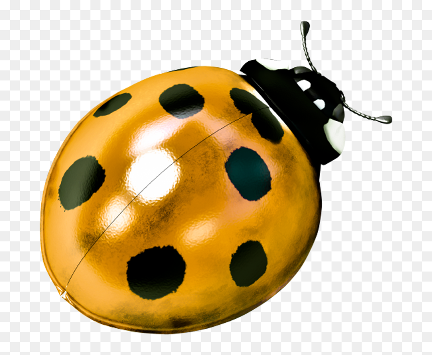 Ladybug Films - Ladybird Beetle, HD Png Download - ladybug png