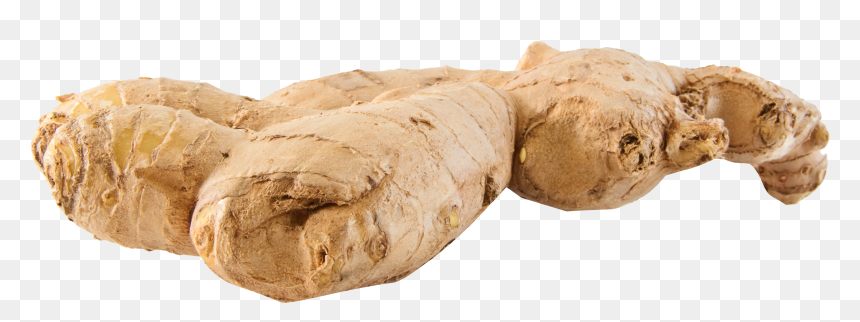 Ginger Png, Transparent Png - ginger png