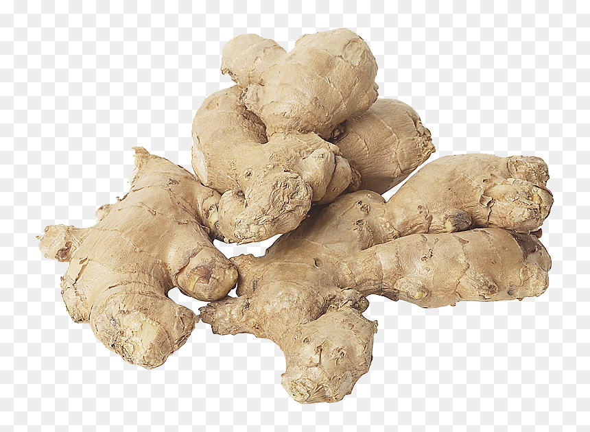 Download This High Resolution Ginger High Quality Png - Dry Rot Of Ginger, Transparent Png - ginger png