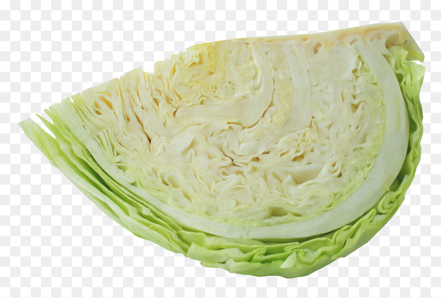 Half Cabbage - Cabbage Png, Transparent Png - cabbage png