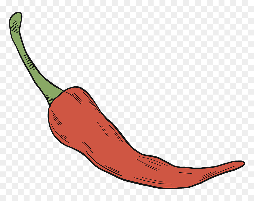 Chilli Pepper Clipart - Illustration, HD Png Download - chili pepper png