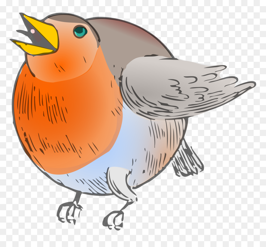 Colored Clip Arts - Round Robin Clipart, HD Png Download - robin png