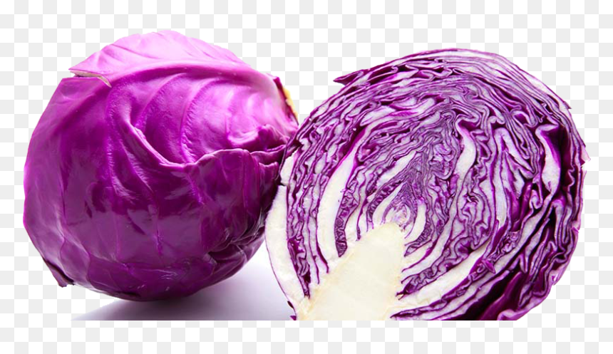 Purple Cabbage Png Image - Head Of Purple Cabbage, Transparent Png - cabbage png