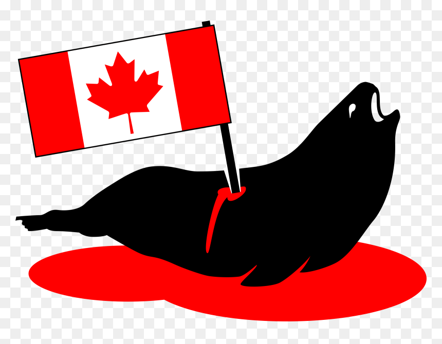 Stabbed Canadian Seal Clip Arts - Canada Flag Seal, HD Png Download - canadian flag png