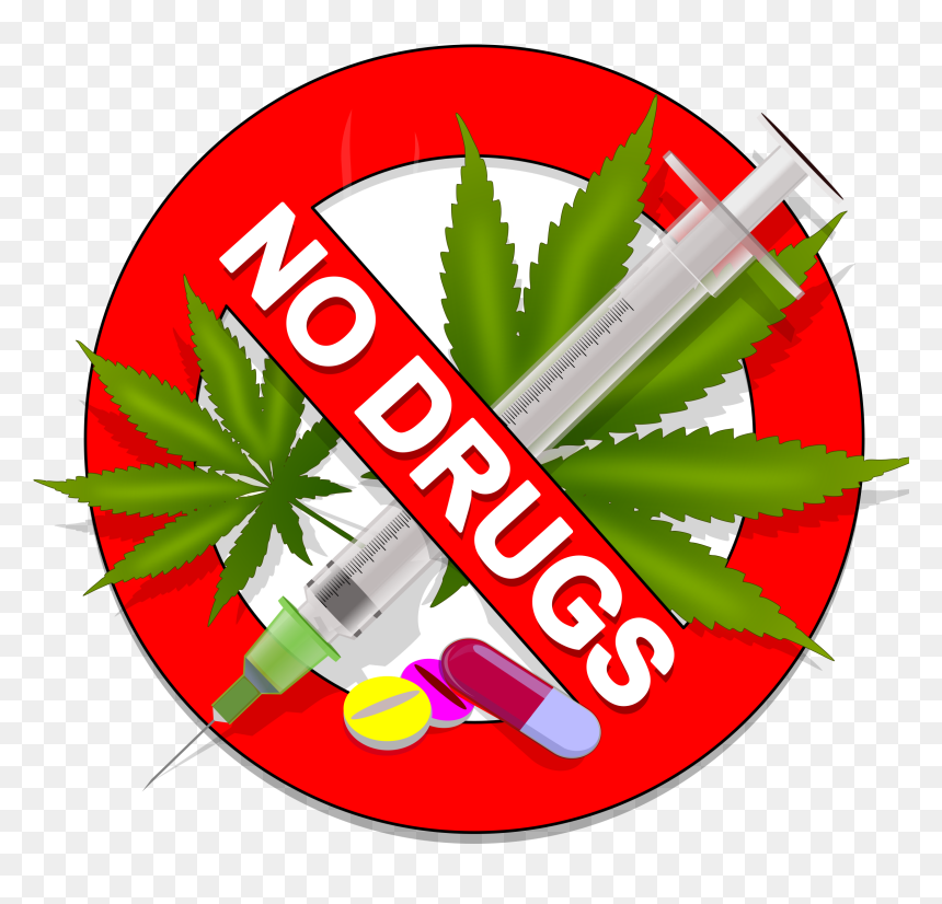 28 Collection Of Weed Clipart Transparent , Png Download - Logo Say No To Drugs, Png Download - weed transparent png